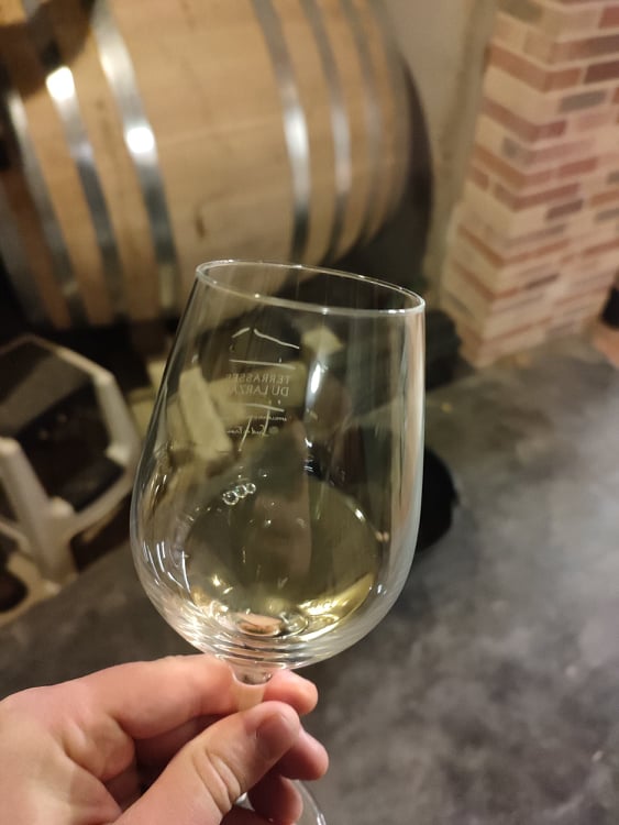 Dégustation de vin blanc sur fût dans le chai du Domaine de Montcalmès